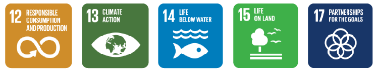 Environment SDGs