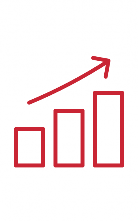 Turnover growth