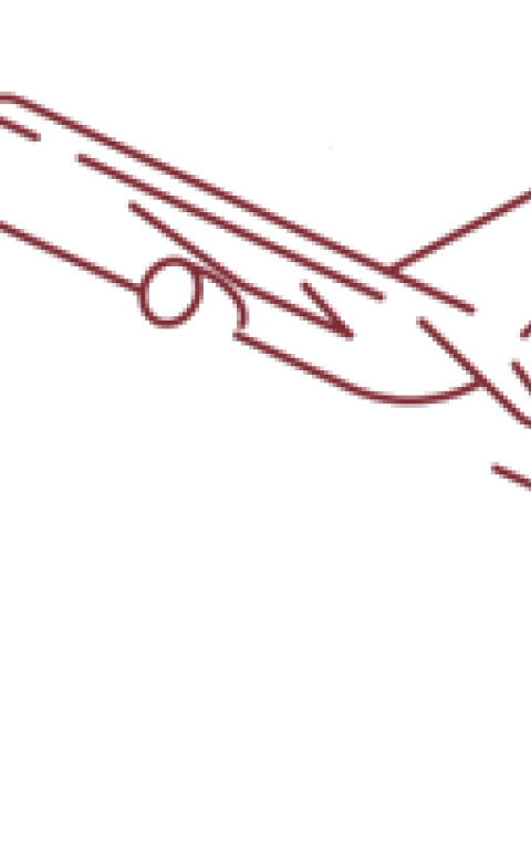 Biscoff takes flight