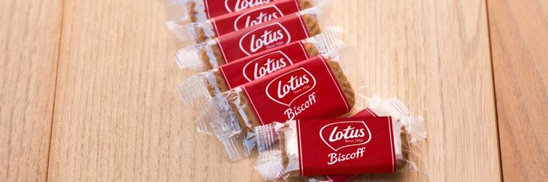 Homepage Lotus Corporate