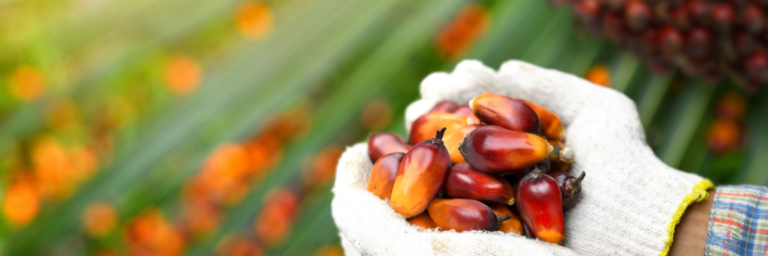 Sustainable sourcing