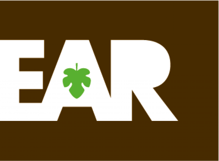 Wordmark BEAR