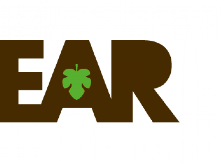 Wordmark BEAR_negative