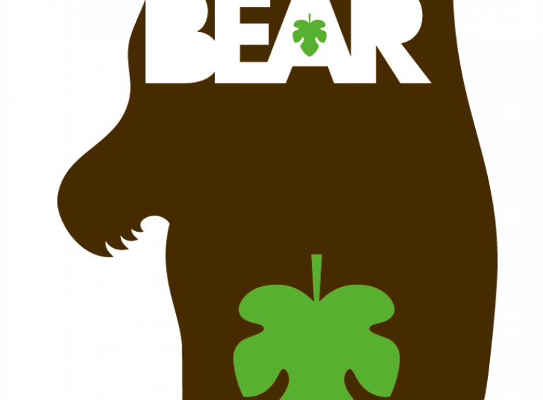 Logo BEAR