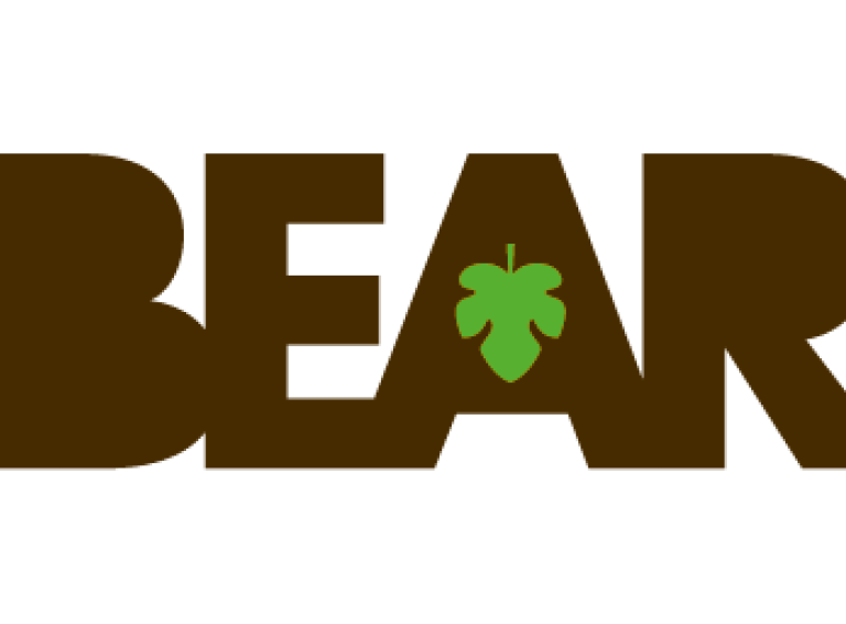 Wordmark BEAR_negative Wordmark BEAR_negative